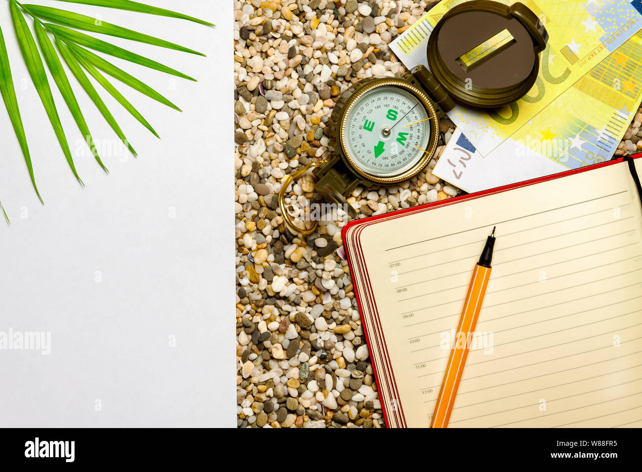 Tema turistico, spiaggia sabbiosa, pianta meridionale, notebook Foto Stock
