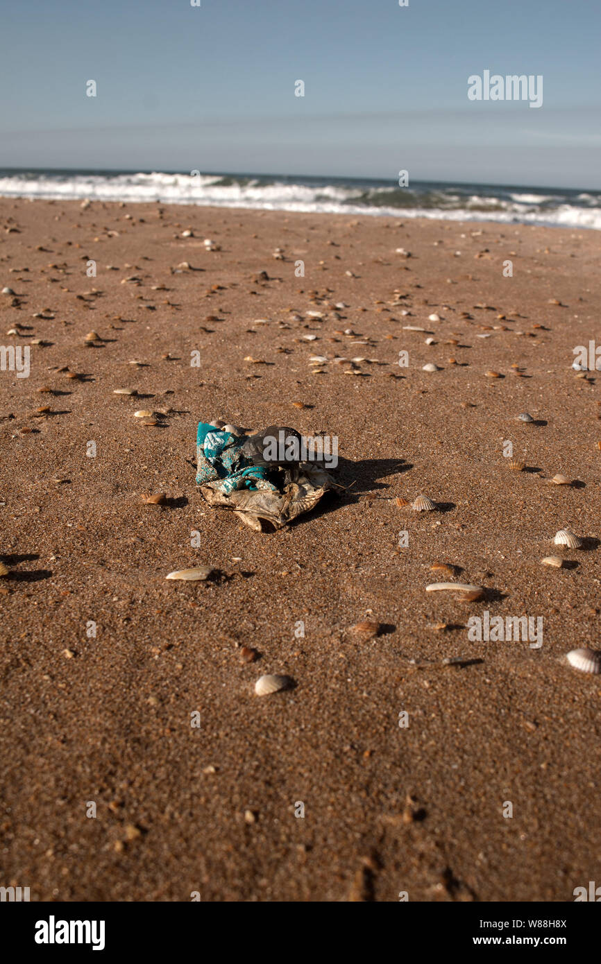 Morto il pesce secco su una spiaggia di conchiglie nel Mar Nero. Inquinamento marino tossico immondizia di plastica Foto Stock