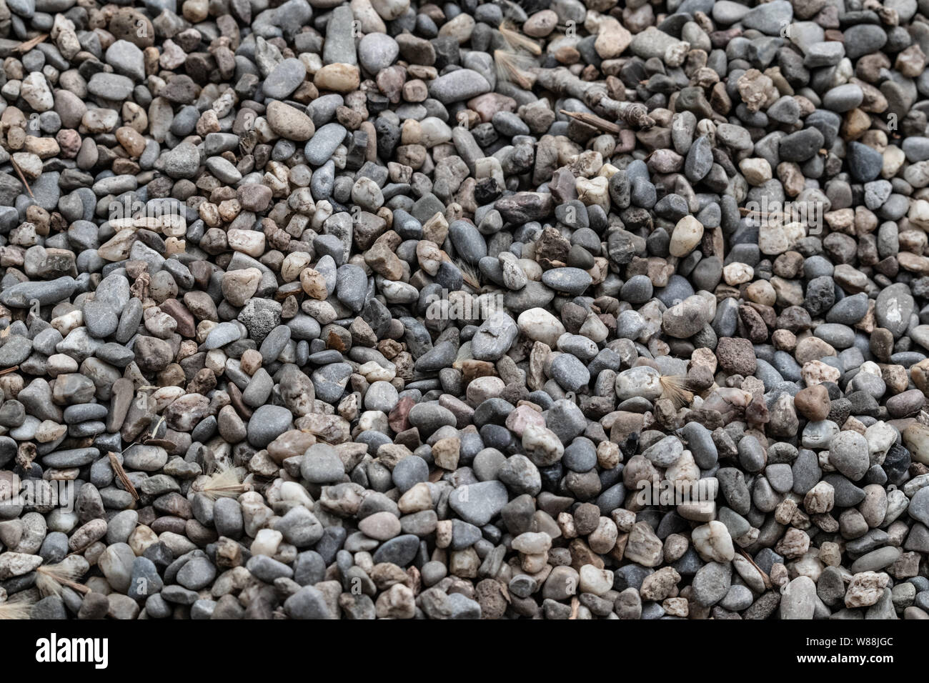 Molti piccoli sassi su una texture di sfondo Foto Stock