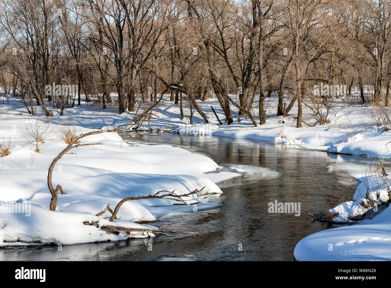 Un piccolo fiume a inizio primavera tra la foresta. Luminosa giornata di sole. Foto Stock