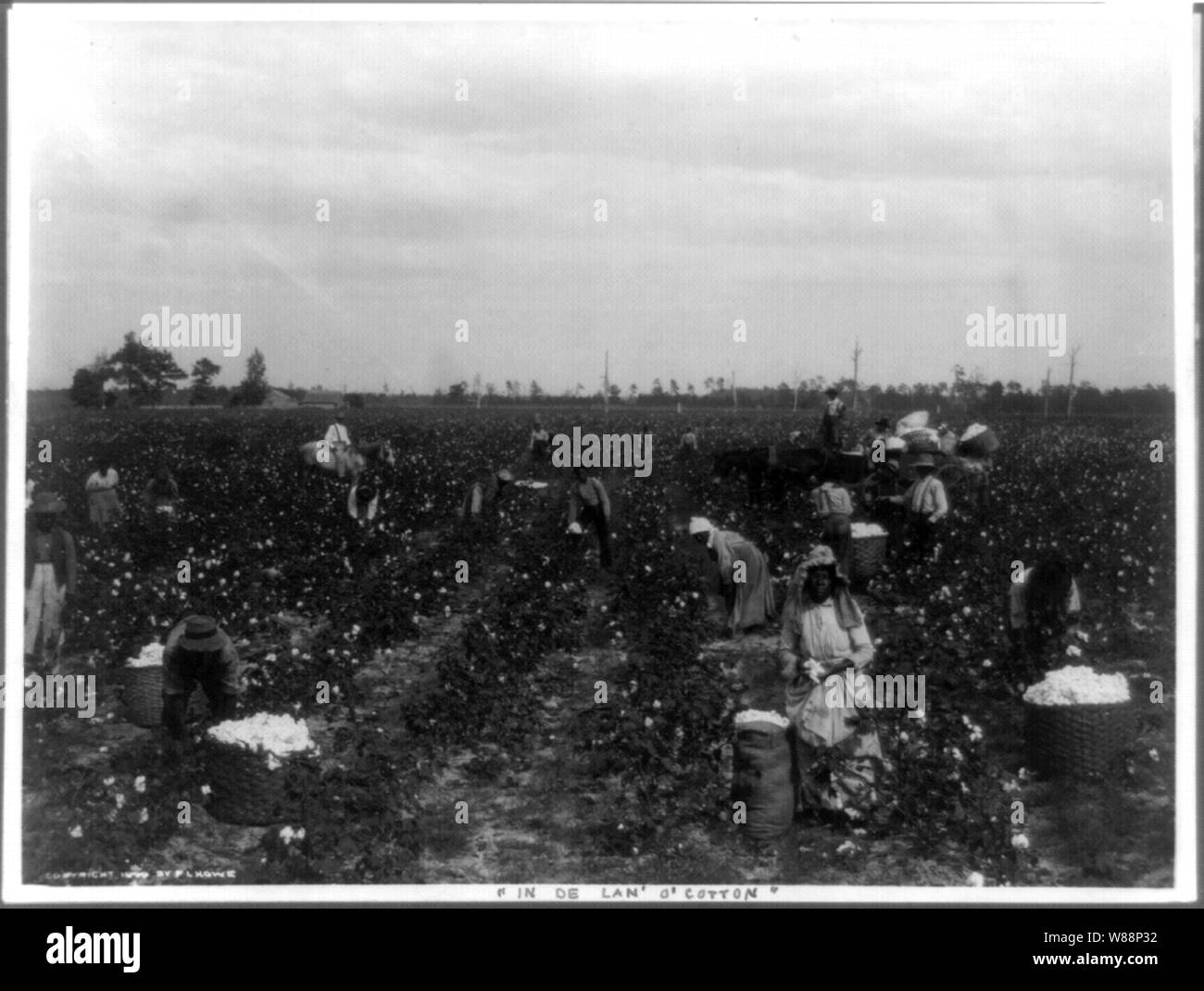 In de lan' o' il cotone Foto Stock