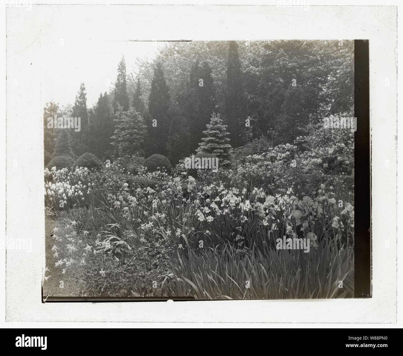 Killenworth, George Dupont Pratt house, Glen Cove, New York. Confine di fiori Foto Stock
