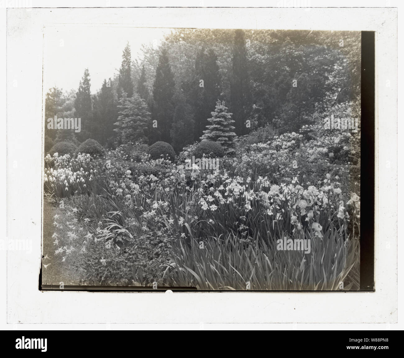 Killenworth, George Dupont Pratt house, Glen Cove, New York. Confine di fiori Foto Stock