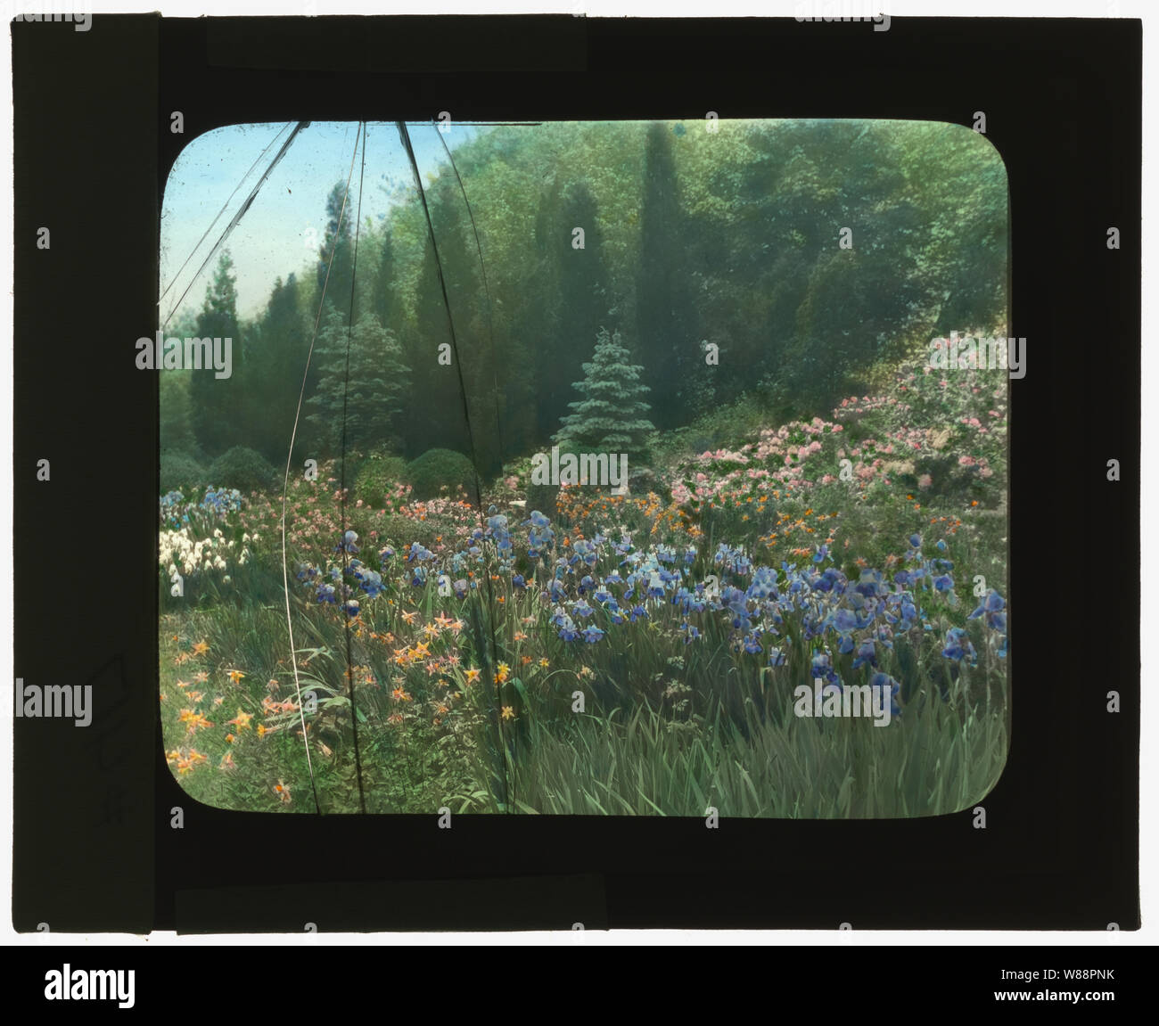 Killenworth, George Dupont Pratt house, Glen Cove, New York. Flower Garden Foto Stock