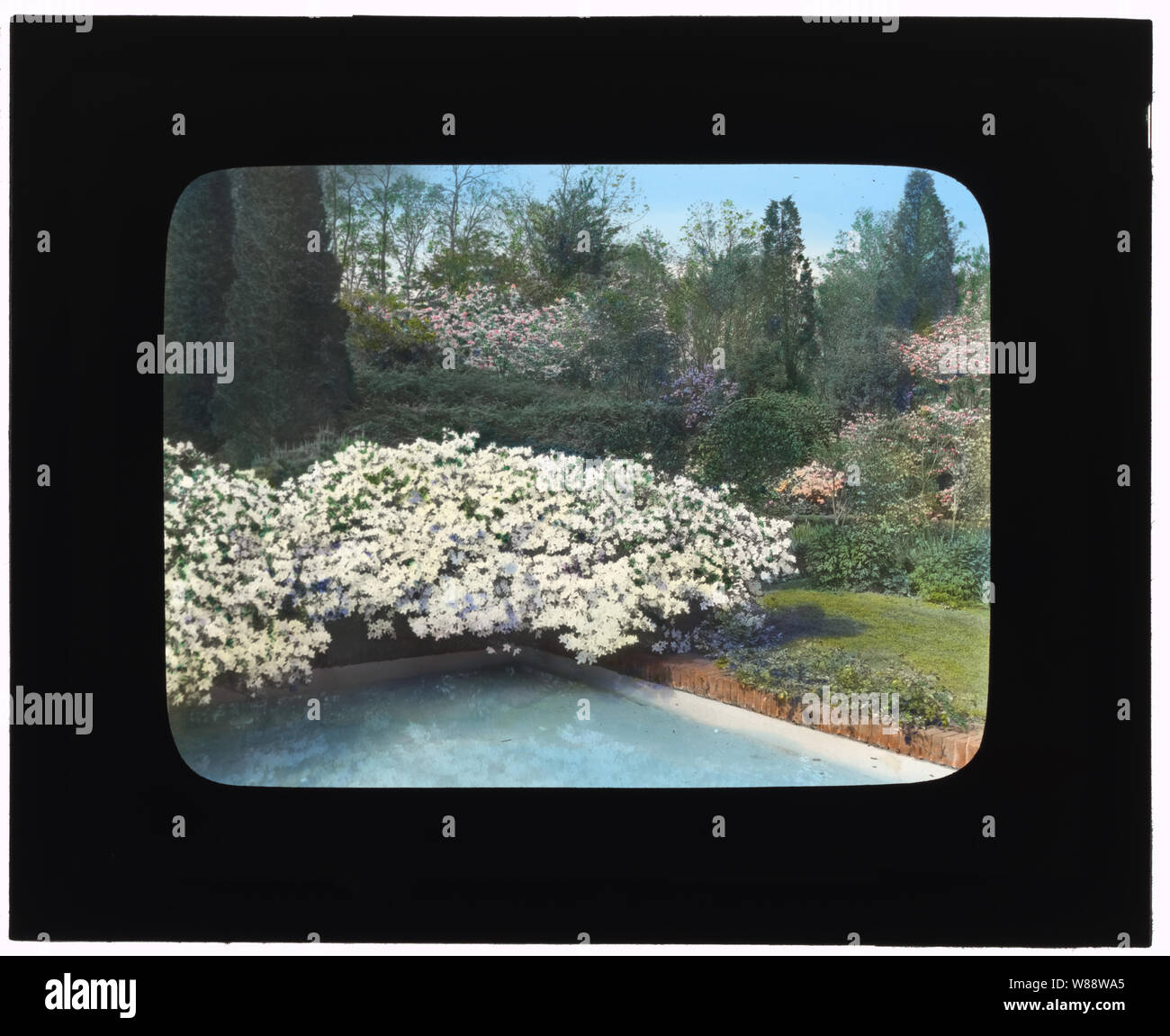 Vecchio acri, Robert bassa casa pancetta, Old Westbury, New York. Azalee in piscina Foto Stock