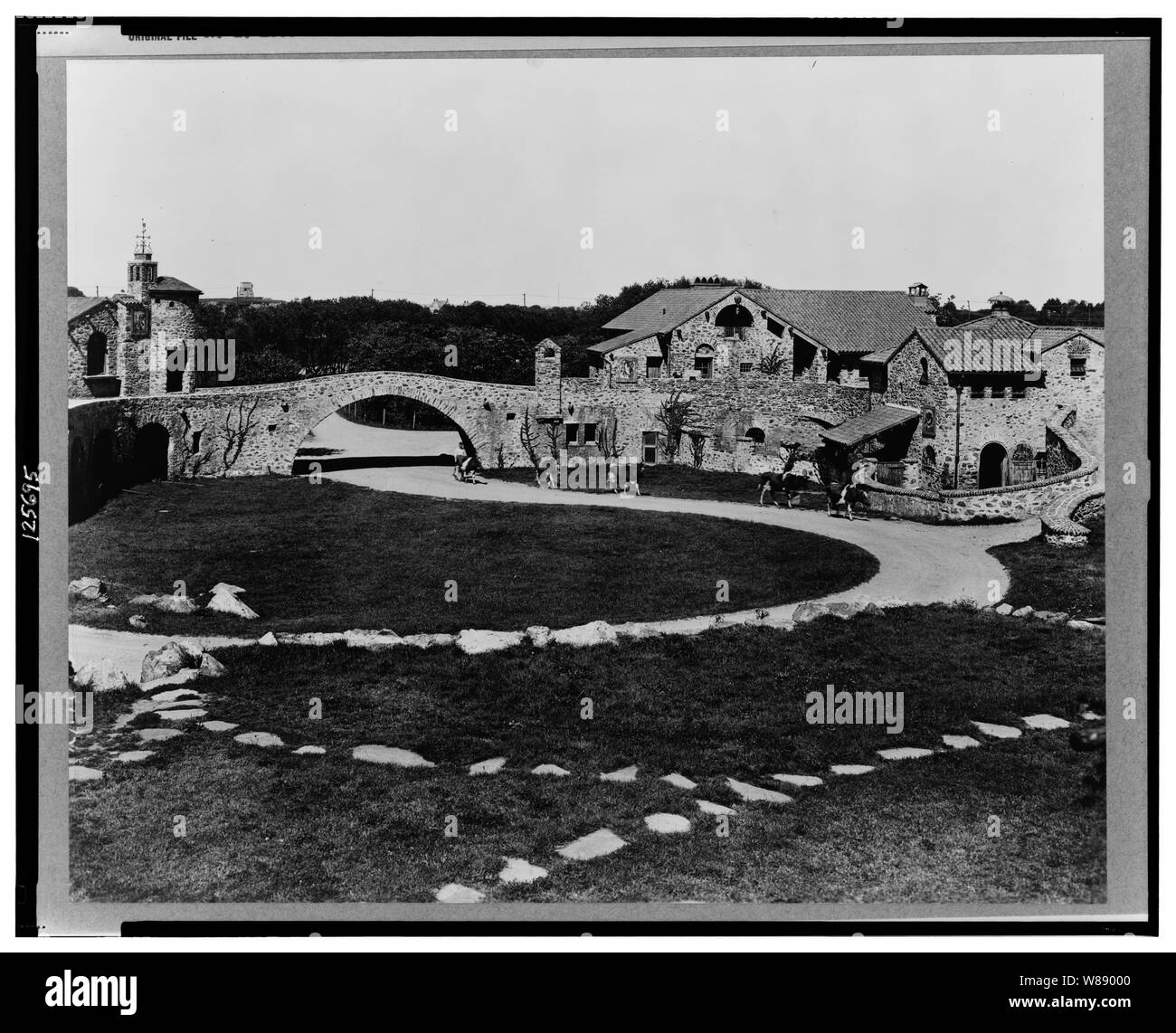 Sorpresa Valley Farm, Arthur Curtiss James proprietà, Beacon Hill Road, Newport, Rhode Island. Il cortile con il bestiame essendo guidato lungo il percorso Foto Stock