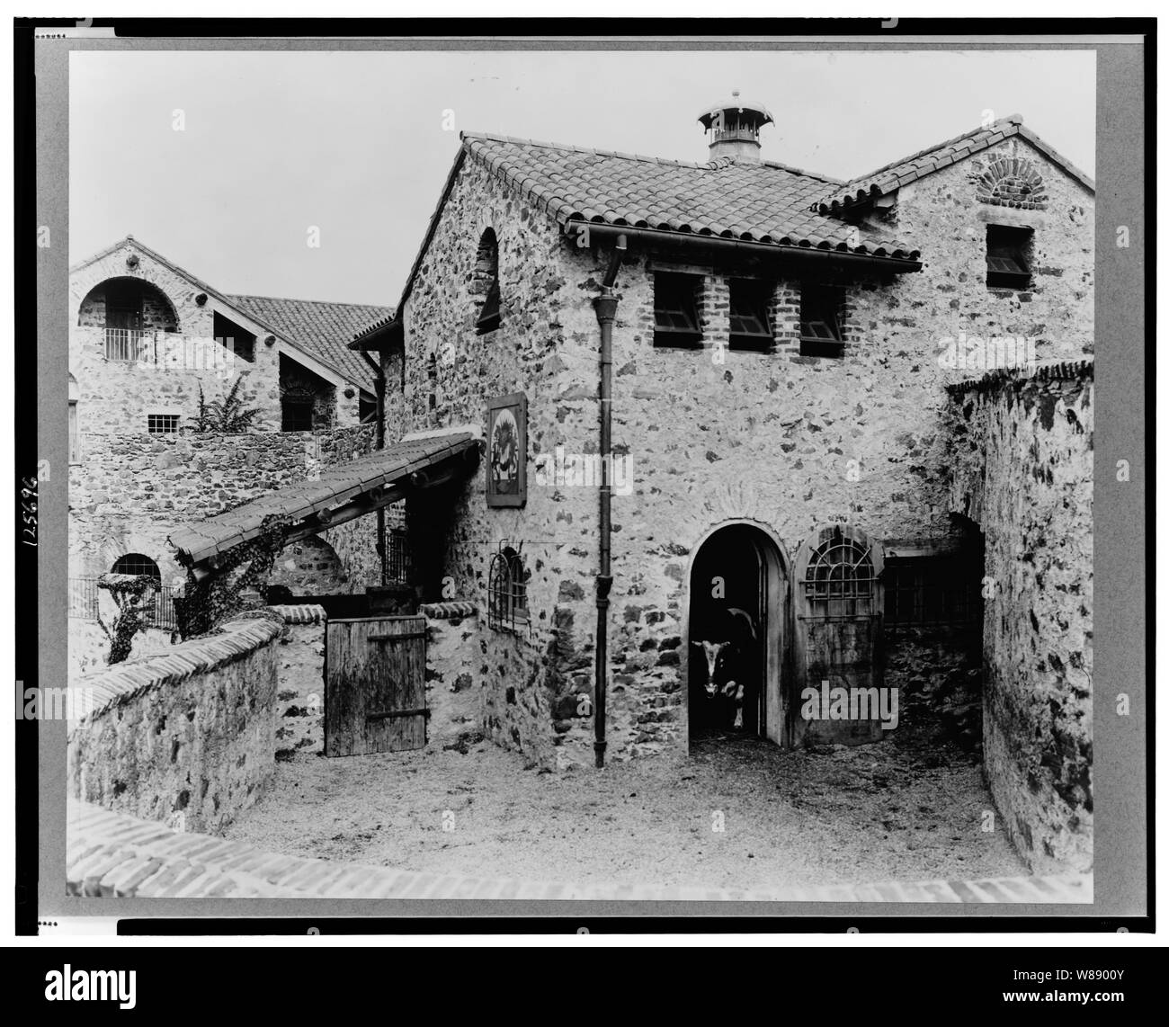 Sorpresa Valley Farm, Arthur Curtiss James proprietà, Beacon Hill Road, Newport, Rhode Island. Cortile con bull in porta Foto Stock