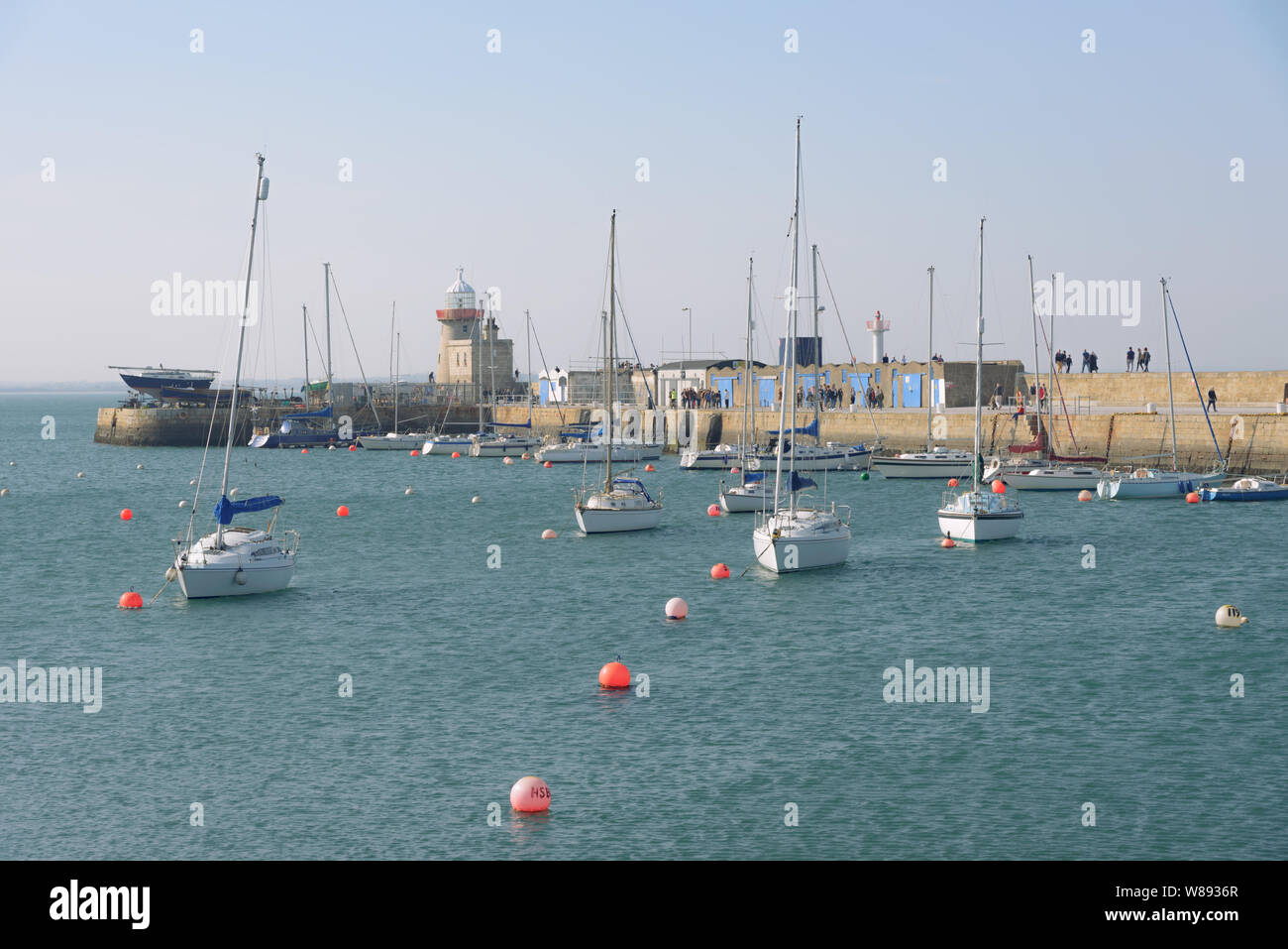 Howth è una zona comune per il birdwatching e la vela ed è anche popolare con i pescatori. [citazione necessaria] pesci come il merluzzo e ray possono essere catturati da Howth Foto Stock