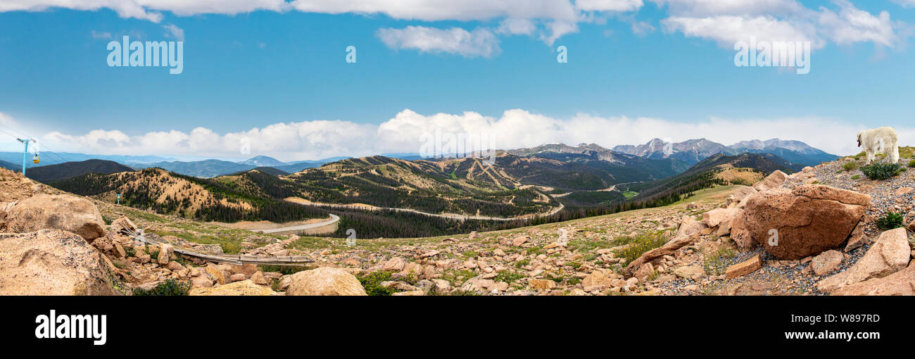Estate panorama di montagne rocciose; Continental Divide; da Monarch Pass; Colorado; USA Foto Stock
