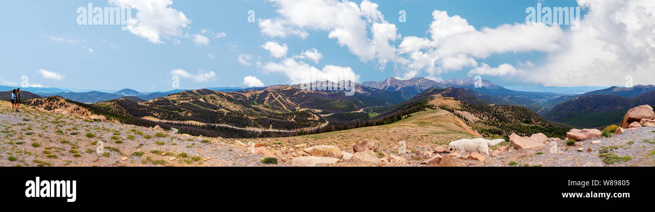 Estate panorama di montagne rocciose; Continental Divide; da Monarch Pass; Colorado; USA Foto Stock