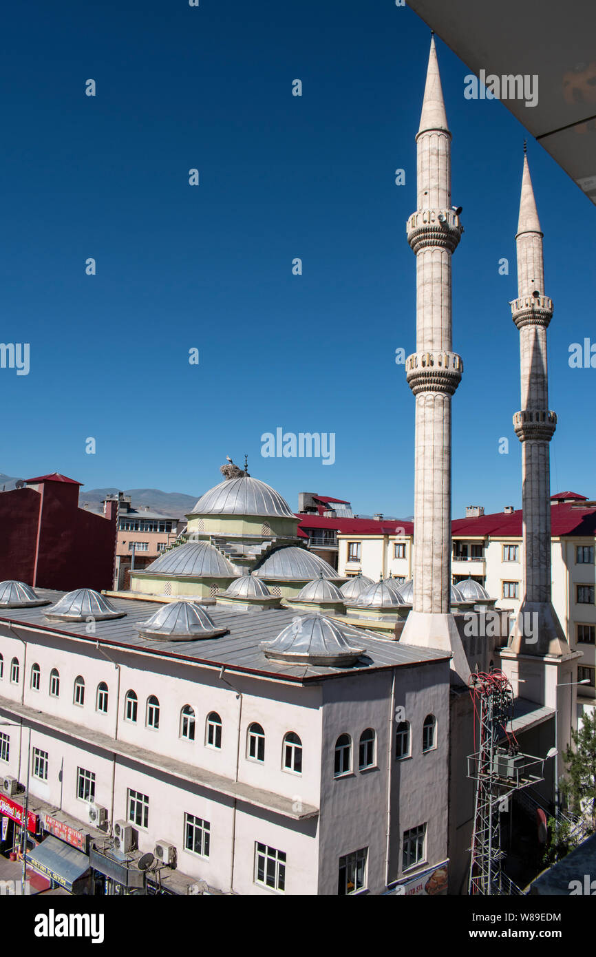 Una cicogna con i suoi cuccioli e il nido sulla cupola di una moschea nella città di Igdir, capitale della provincia Igdır in Anatolia orientale regione della Turchia Foto Stock