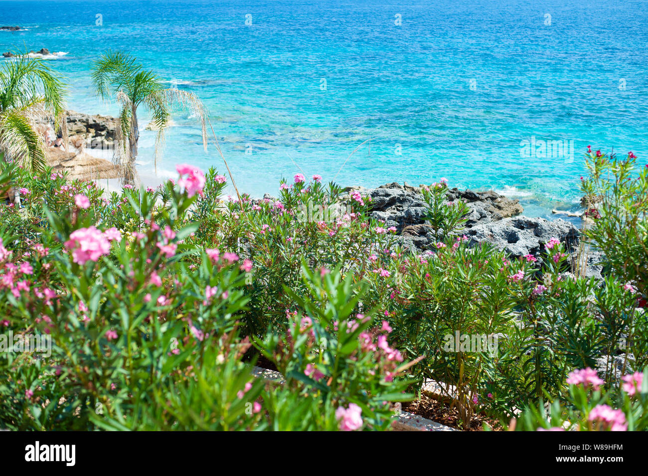 Spiaggia rocciosa e crystal acque turchesi del Mar Ionio in Albania. Calma e rilassante vista Foto Stock
