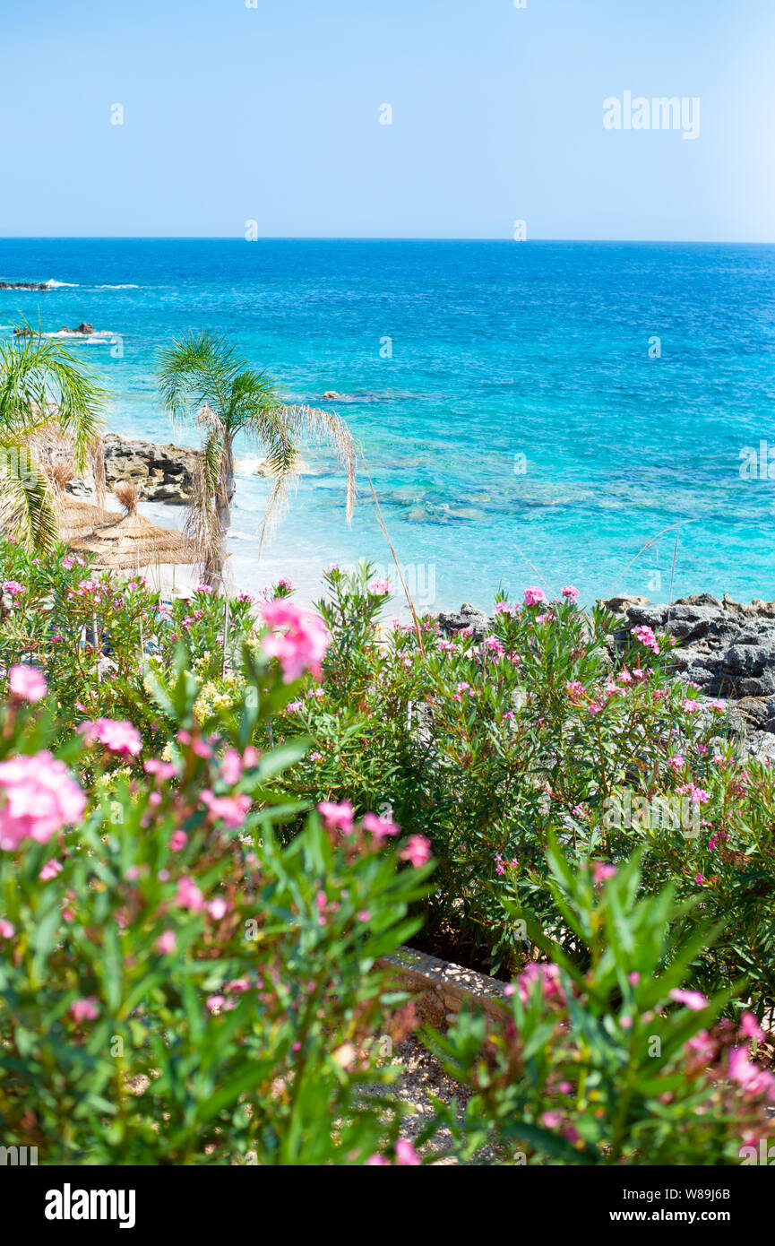 Spiaggia rocciosa e crystal acque turchesi del Mar Ionio in Albania. Calma e rilassante vista Foto Stock