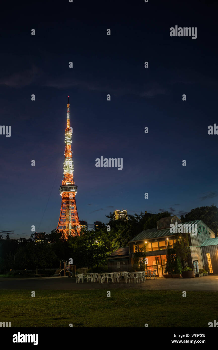 Vista della Torre di Tokyo dal parco di notte. Orientamento orizzontale. Foto Stock