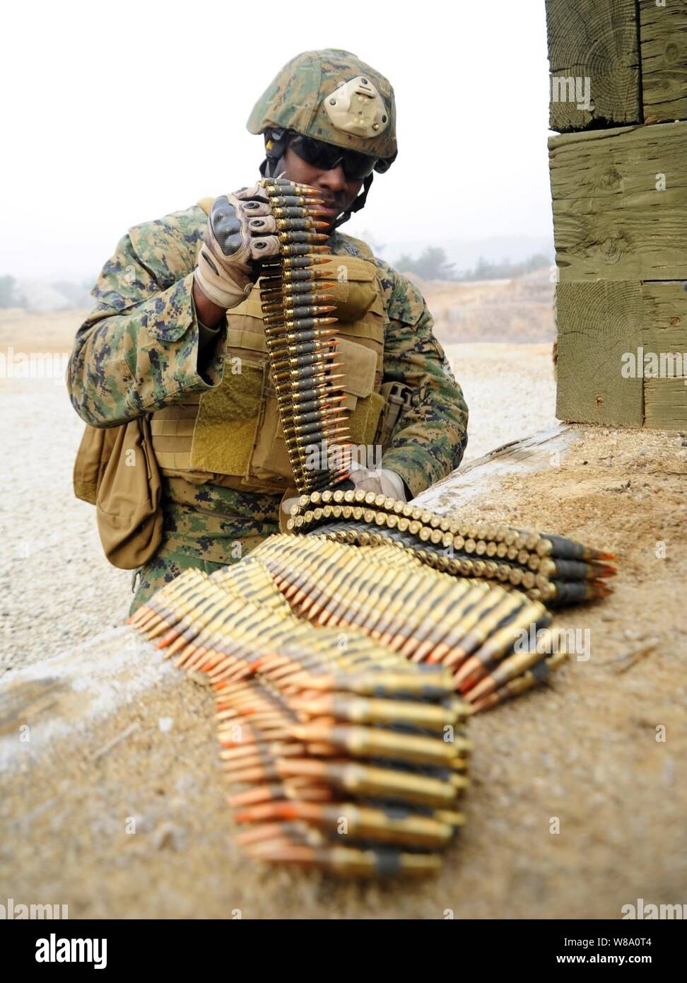 Stati Uniti Marine Corps Sgt. Wendall Claxton, assegnato alla flotta antiterrorismo Security Team Azienda pacifico, 2° plotone, prepara M240 macchina munizioni pistola prima di condurre un'esercitazione a fuoco a Camp Rodriguez, Corea del Sud, il 8 marzo 2012. Foto Stock