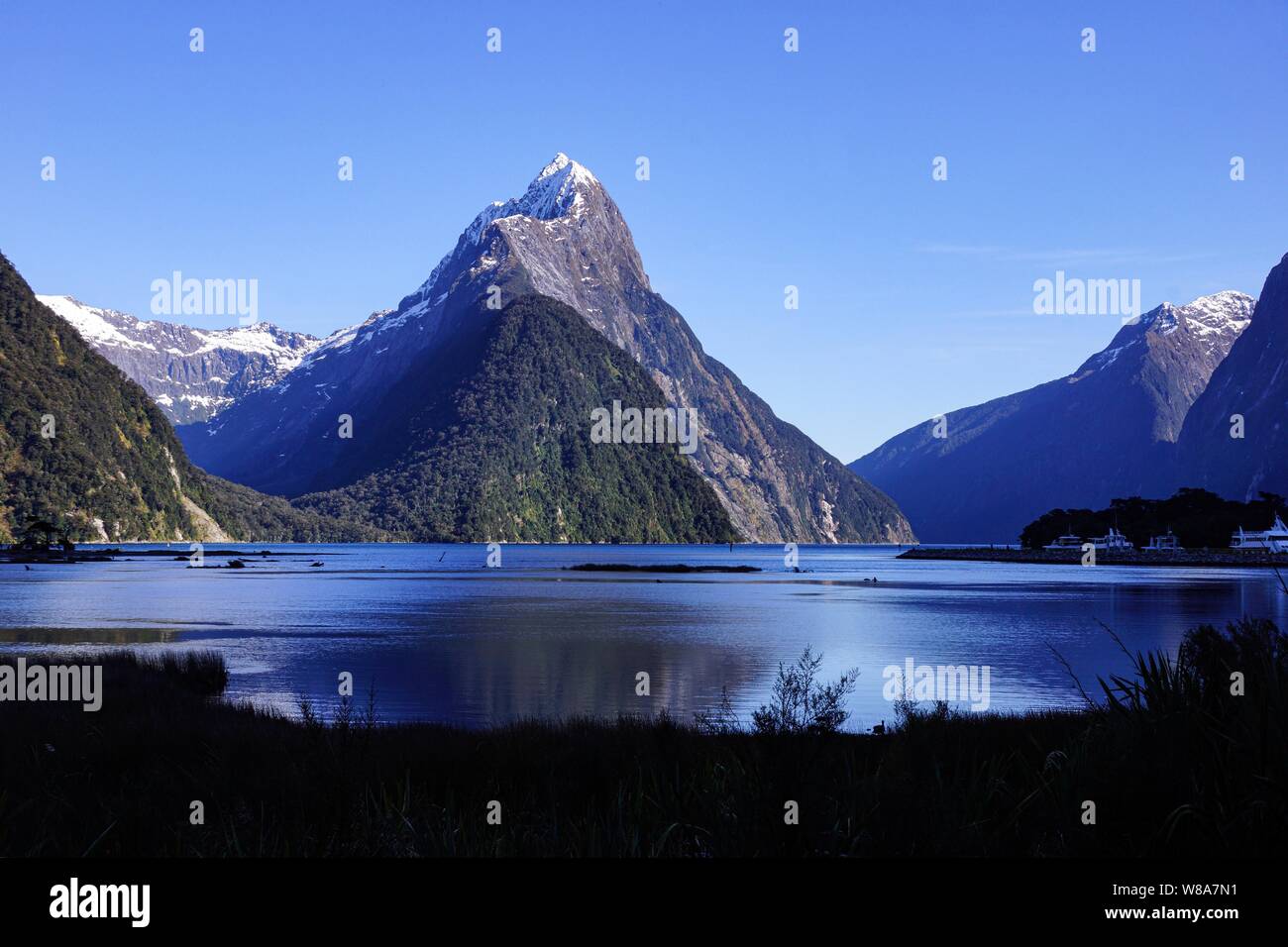 Lasciando Milford Sound dopo una crociera di piacere Foto Stock