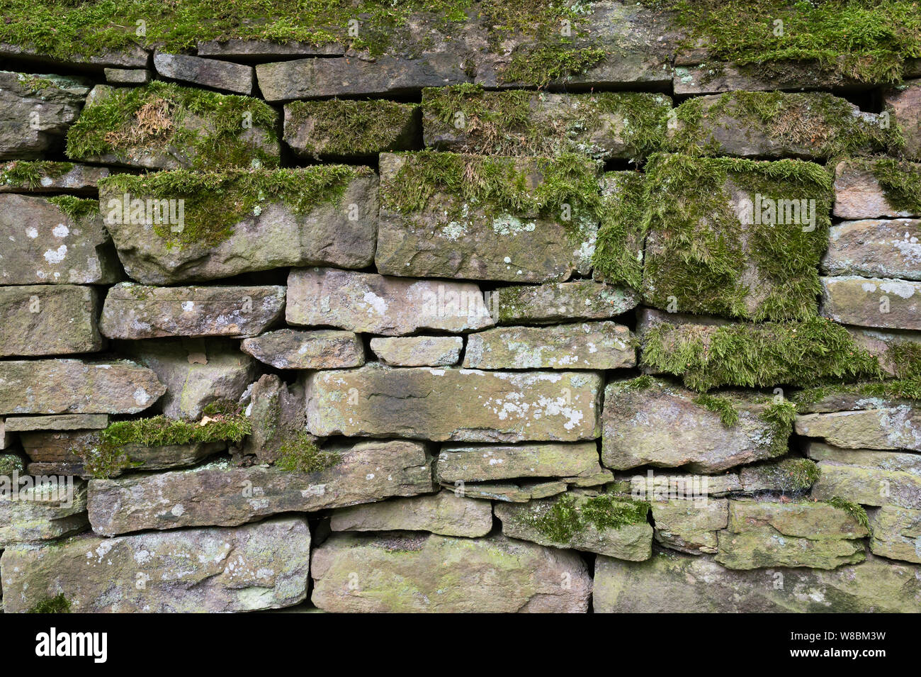 Asciugare la parete in pietra, Cheshire, Regno Unito Foto Stock