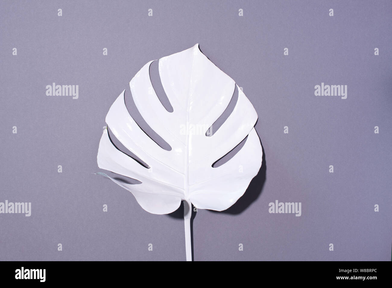 Composizione di estate. Bianco palme tropicali foglie su sfondo grigio. Concetto di estate. Appartamento laico, vista dall'alto, copia dello spazio. Foto Stock