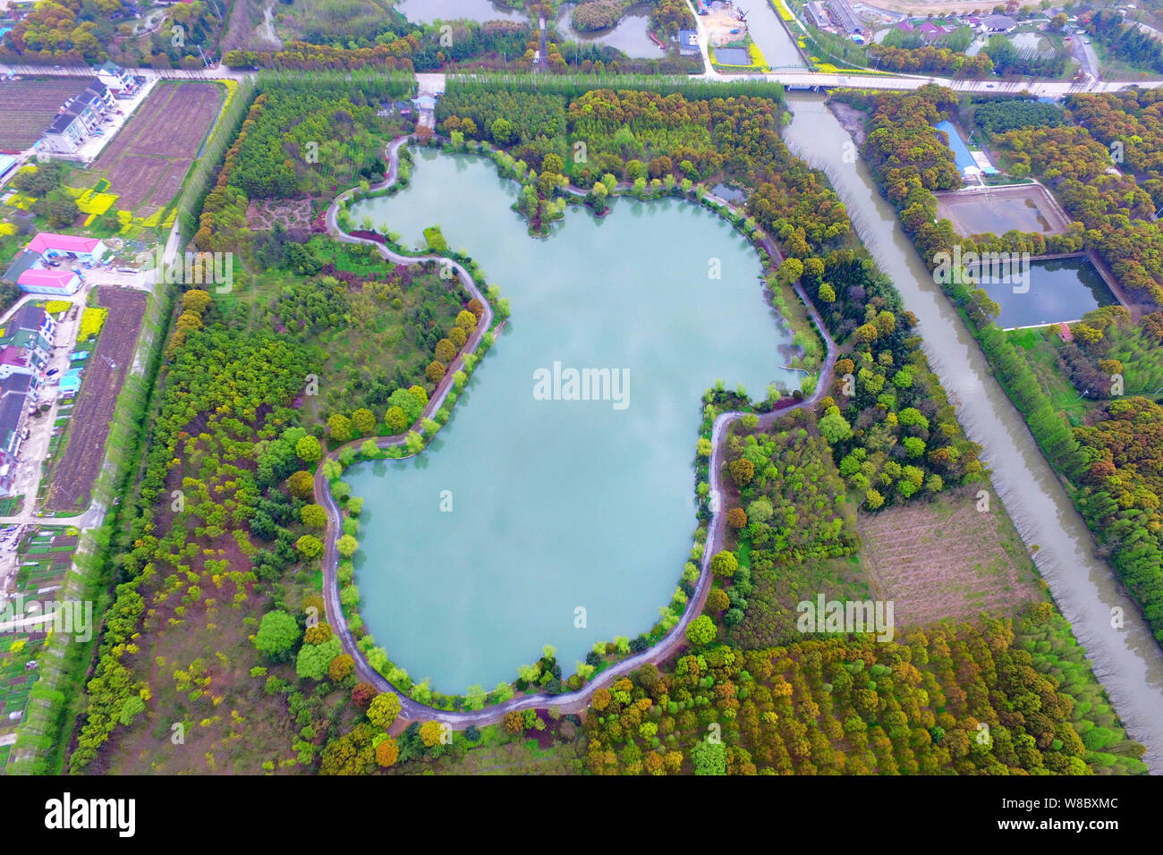 Vista aerea di un lago artificiale che assomiglia a della Cina di mappa in villaggio Baiyang, Lvgang town, Shanghai, Cina, 5 aprile 2016. Un lago artificiale che loo Foto Stock