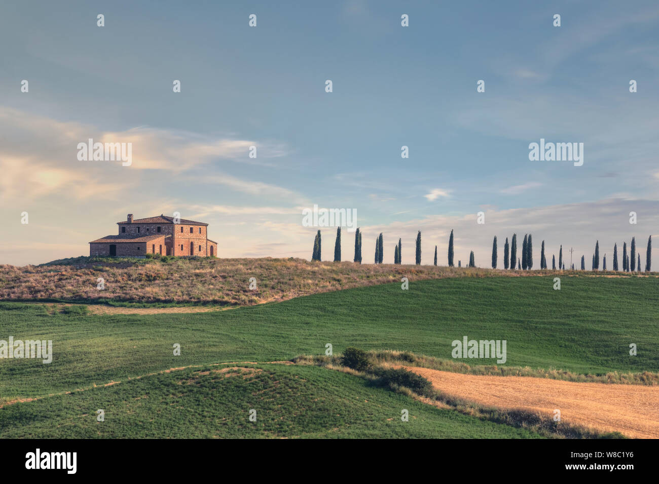 Asciano, Toscana, Italia, Europa Foto Stock