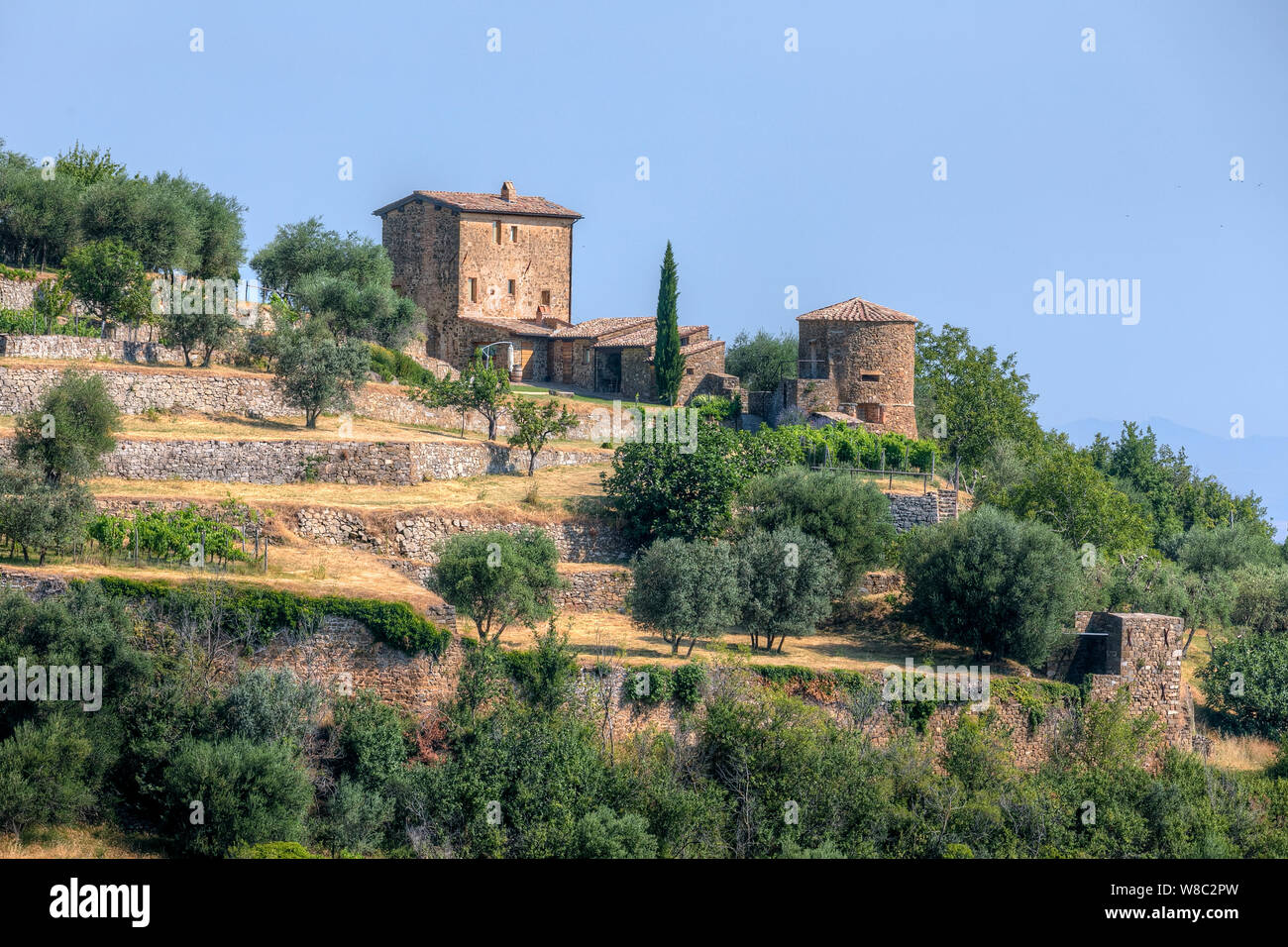 Montalcino, Siena, Toscana, Italia, Europa Foto Stock