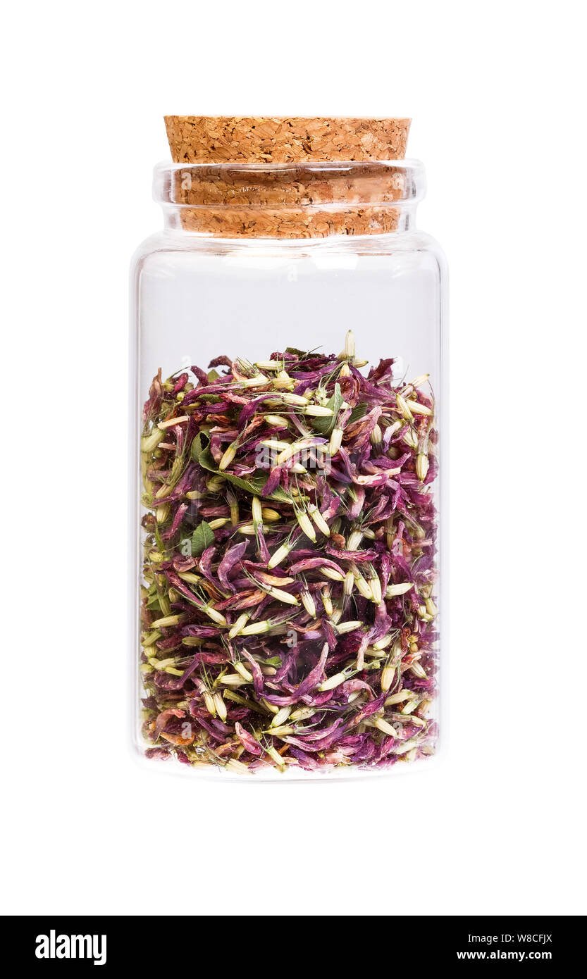 Il tè di trifoglio in una bottiglia con tappo di sughero per uso medico. Foto Stock