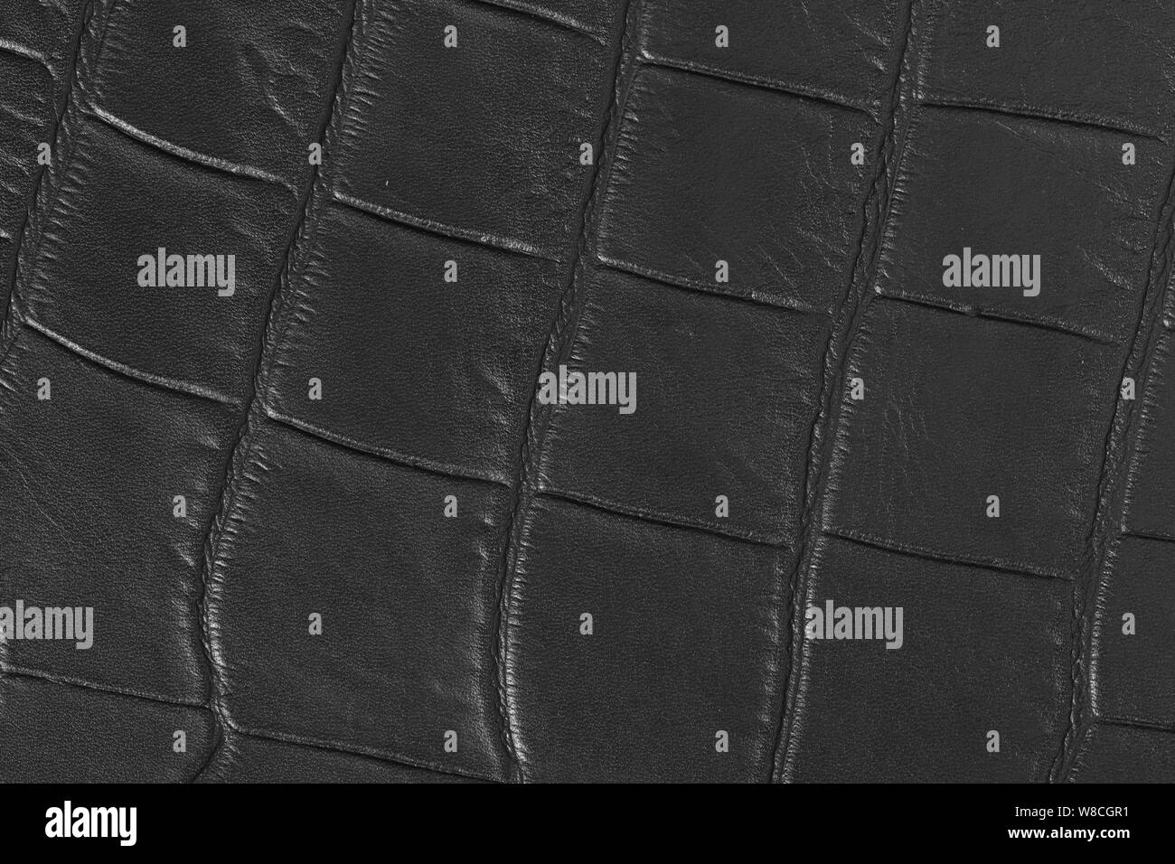Pelle di coccodrillo, texture di pelle vicino. In pelle di coccodrillo sfondo. Foto Stock