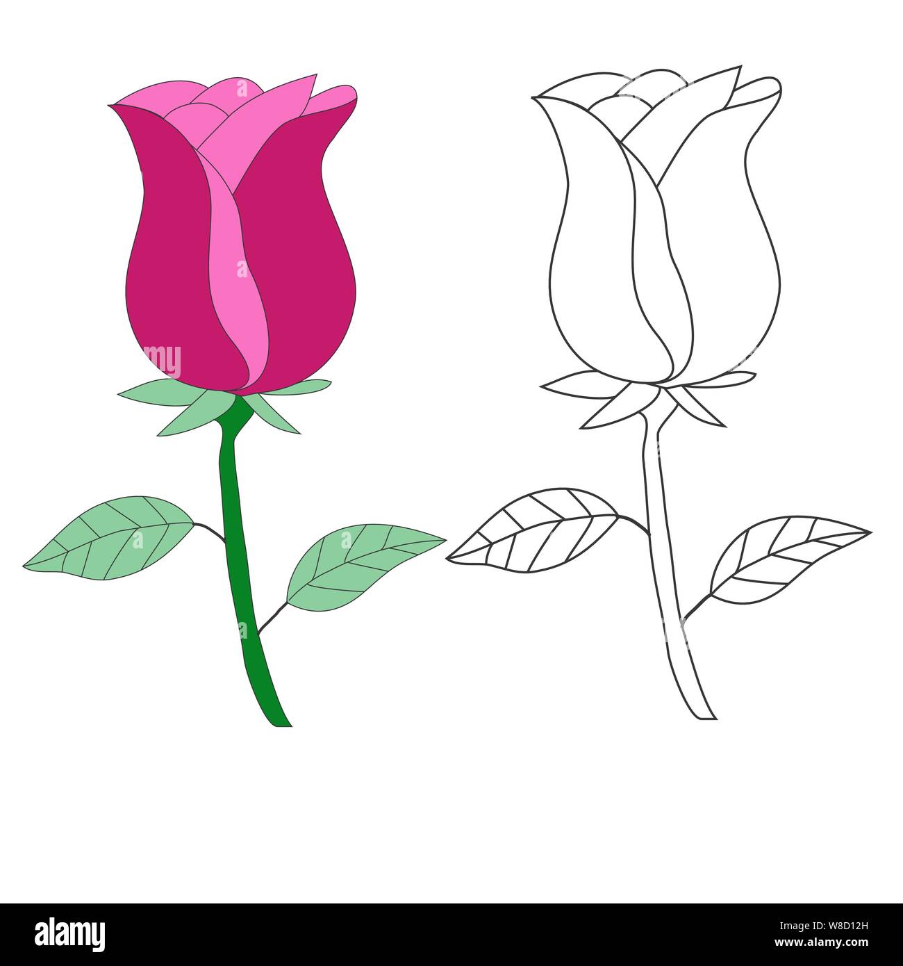 Disegno a mano rose fiore isolato su sfondo bianco. Illustrazione vettoriale EPS 10 Illustrazione Vettoriale