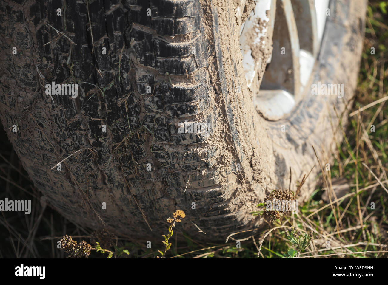 Terreni fangosi auto ruota è sull'erba, close up foto, off-road racing tema Foto Stock