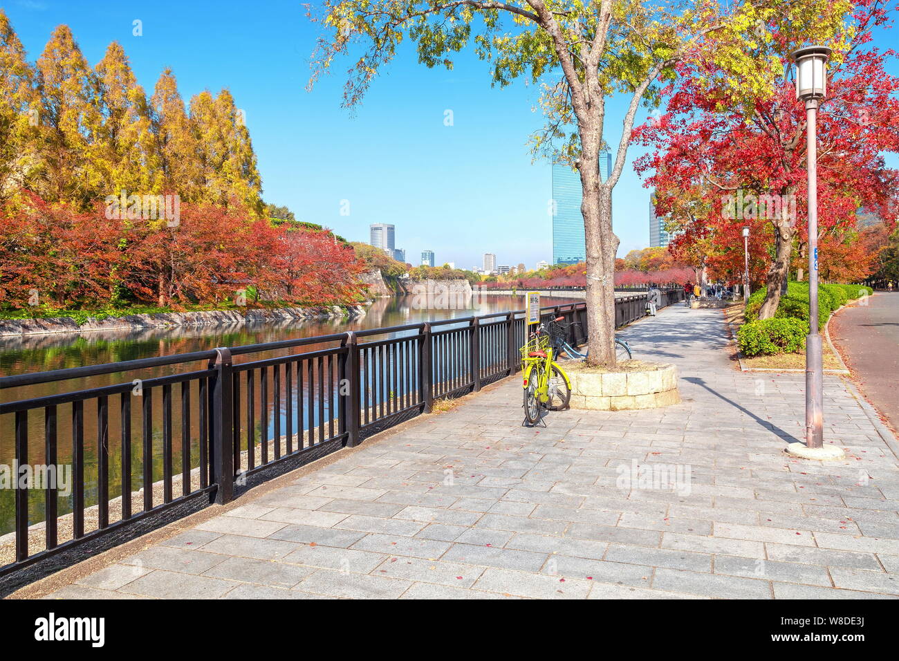 Osaka, Giappone - 21 nov 2018 - L'autunno-colorato nel parco cittadino il Forest Park e vicino al Castello di Osaka, Osaka, Giappone Foto Stock