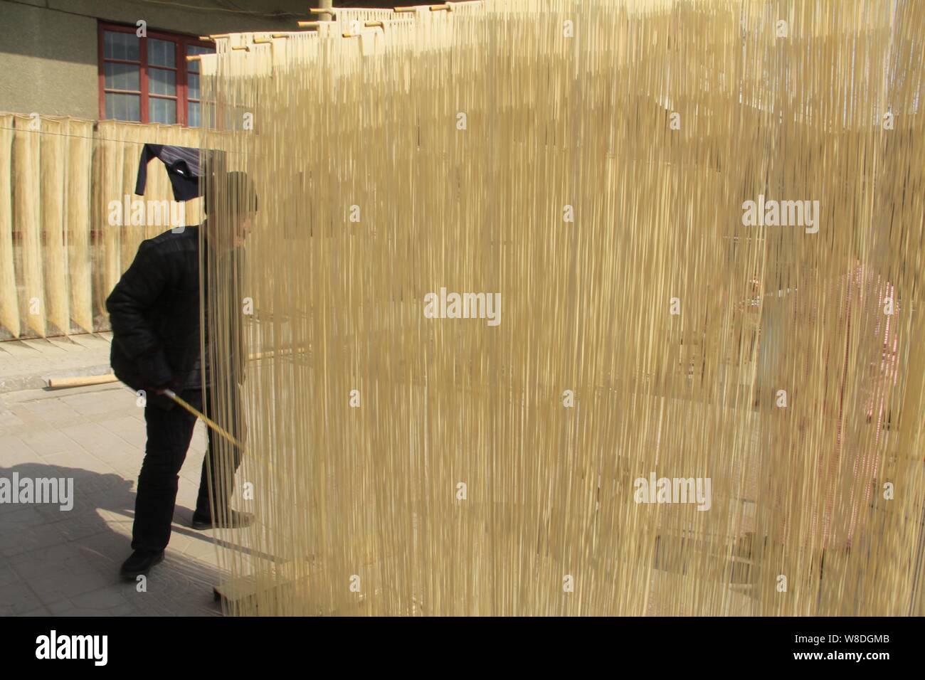 Tagliatelle vengono essiccati a un workshop in Huangxian county, Anyang City, centrale cinese della Provincia di Henan, 14 febbraio 2015. Ammenda essiccato a base di noodle, puramente Foto Stock