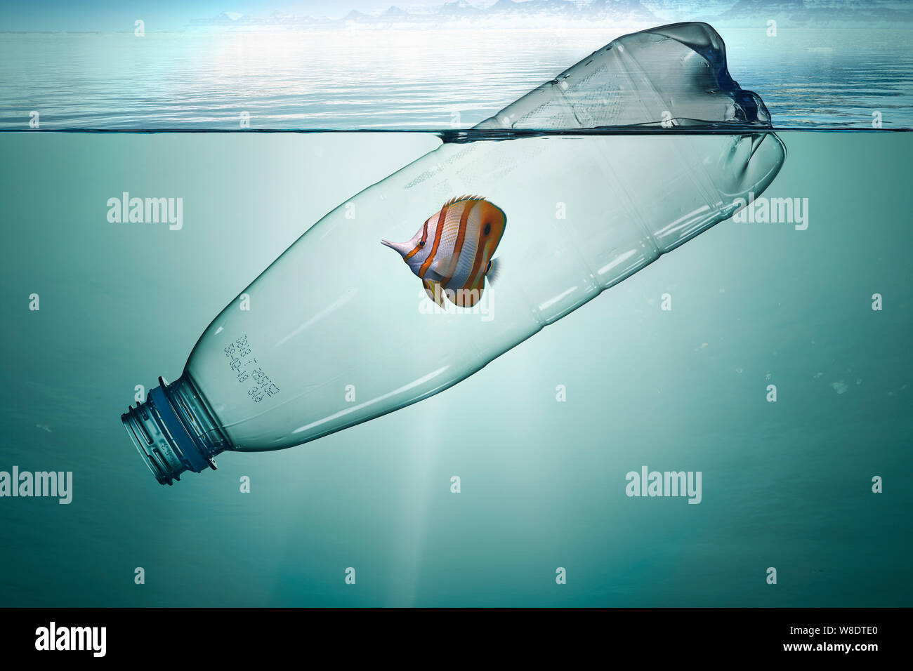 La bottiglia di plastica con pesce, inquinamento che galleggia nell'oceano. Foto Stock