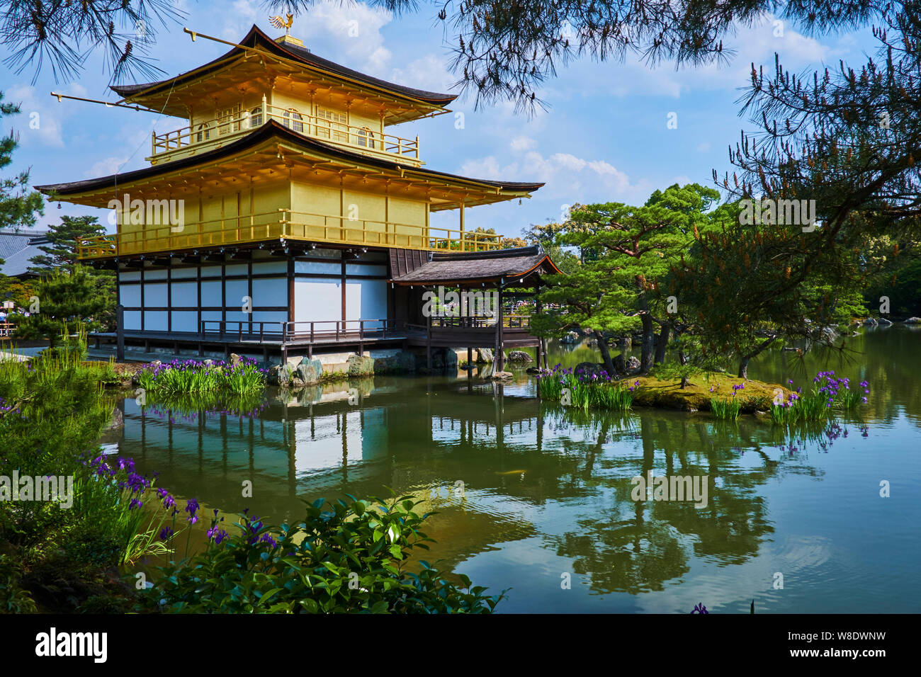 Giappone, isola di Honshu, la regione di Kansai, Kyoto Kinkaku-ji il tempio o tempio d'oro Foto Stock