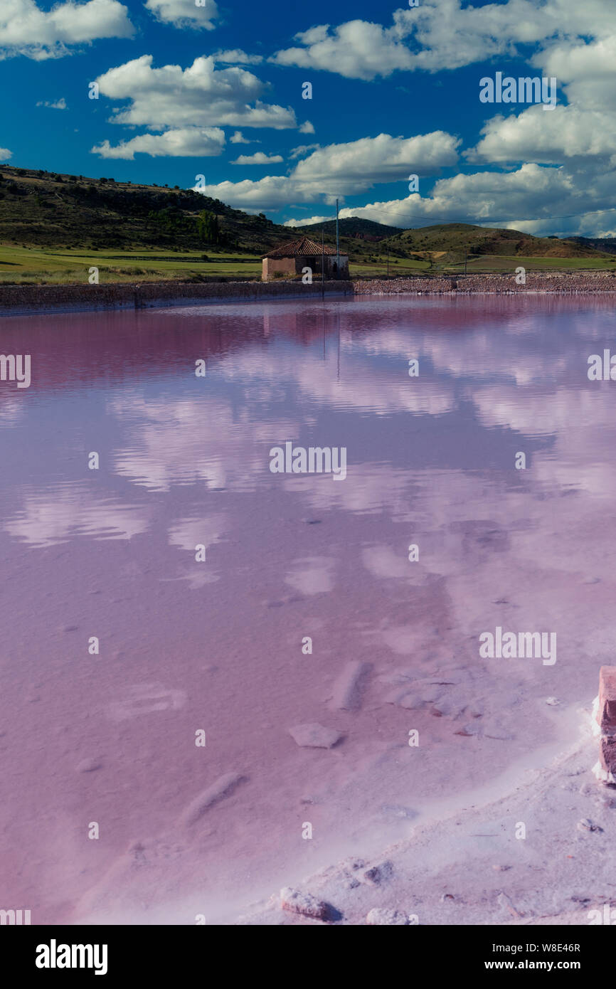 Rosa bacino di sale nella parte anteriore e il verde delle montagne sullo sfondo di un cielo blu chiaro. Foto Stock