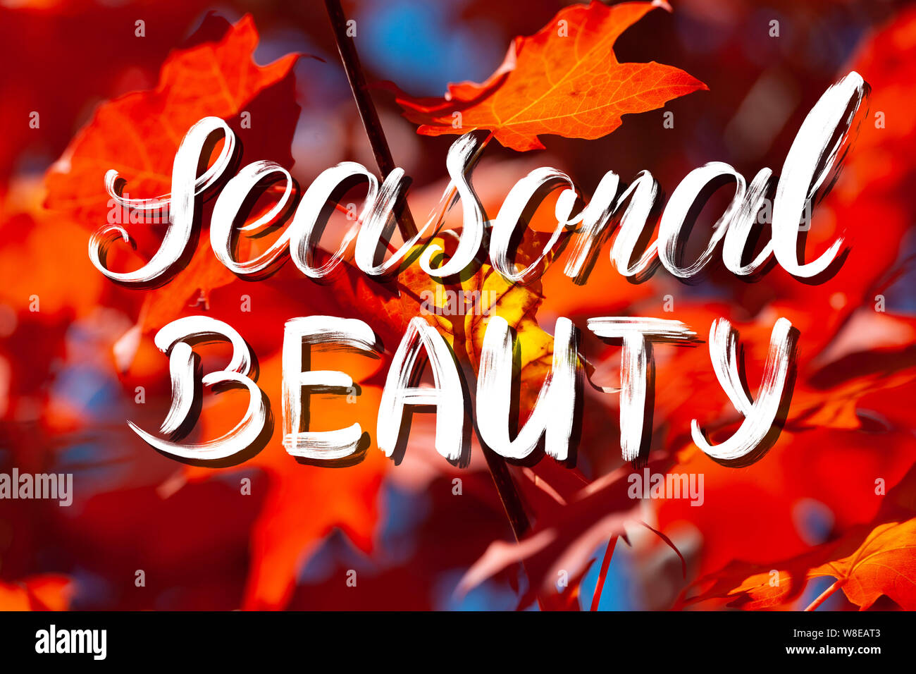 Bellezza stagionali - Spazzola di scritte su sfondo autunnale Foto Stock