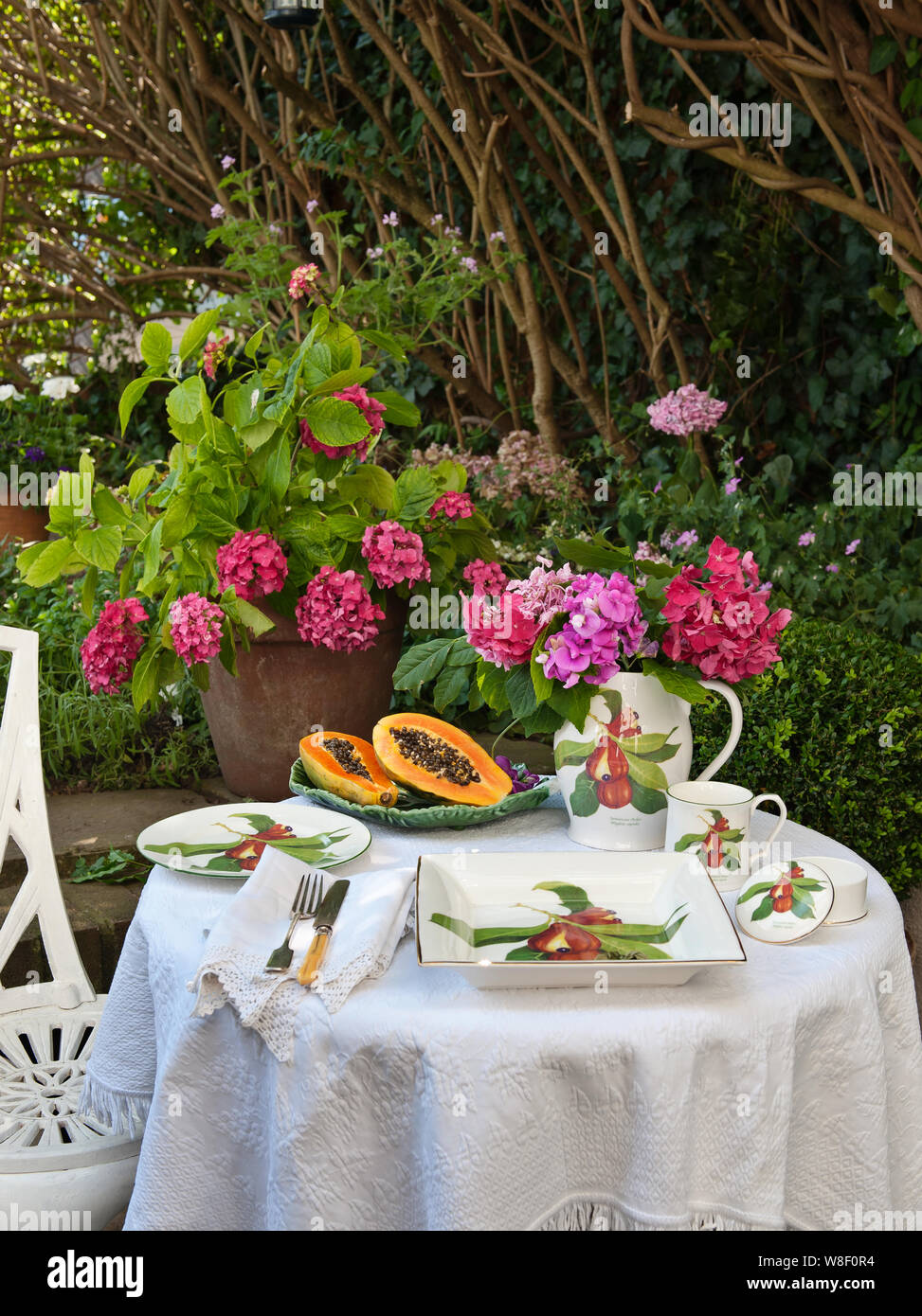 Jenny Mein giamaicano della collezione ackee sul tavolo in giardino Foto Stock