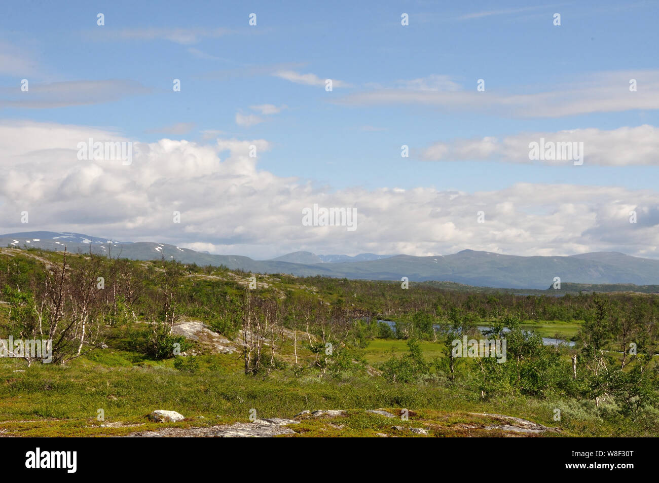 Auf der Fahrt von Schnweden nach Norwegen beeindruckende Landschaften vor der Norwegischen Grenze. Foto Stock