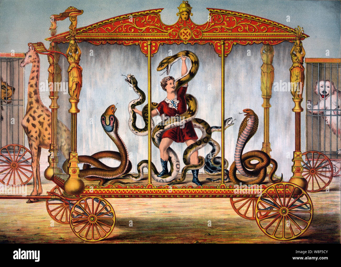 Snake wrangler vintage caged poster di circo Foto Stock