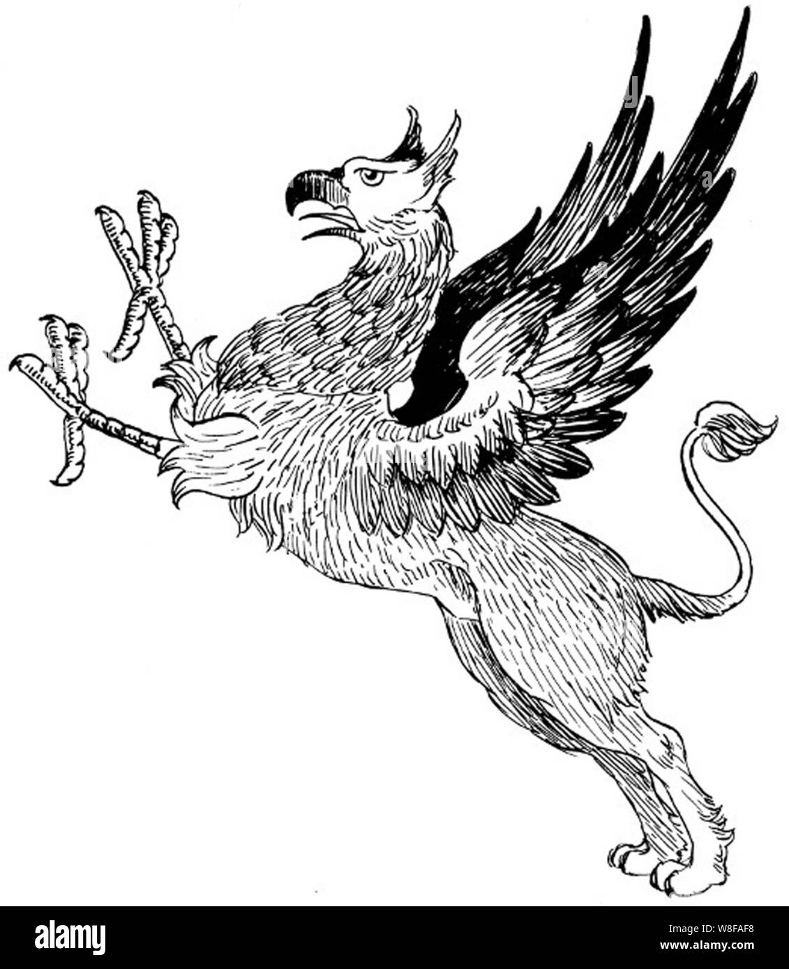 Gryphon illustrazione Foto Stock