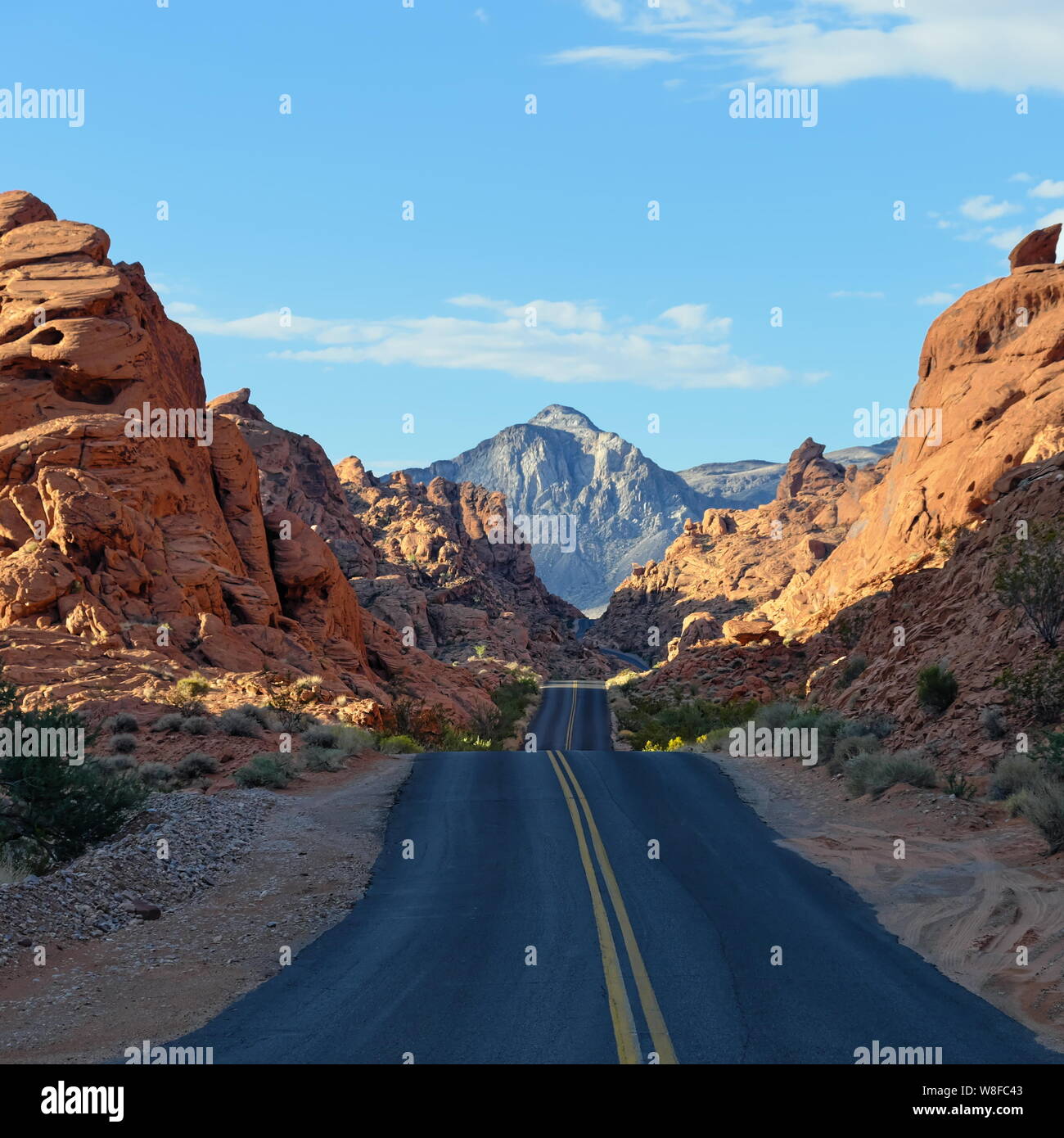 Strada lungo rocce rosse nella Valle del Fuoco, Nevada, STATI UNITI D'AMERICA Foto Stock