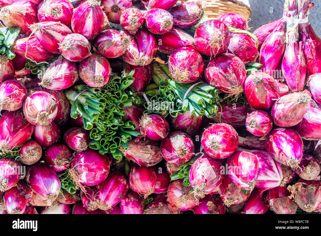 Cipolla rossa venduti su Tropea le strade come specialità della regione Calabria, Italia Foto Stock