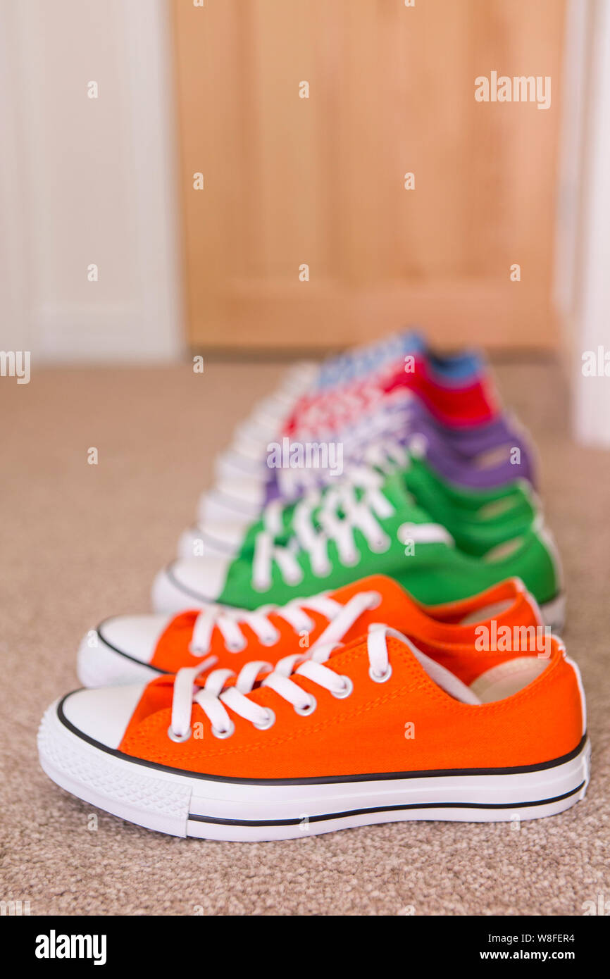 zerbino converse zerbino converse