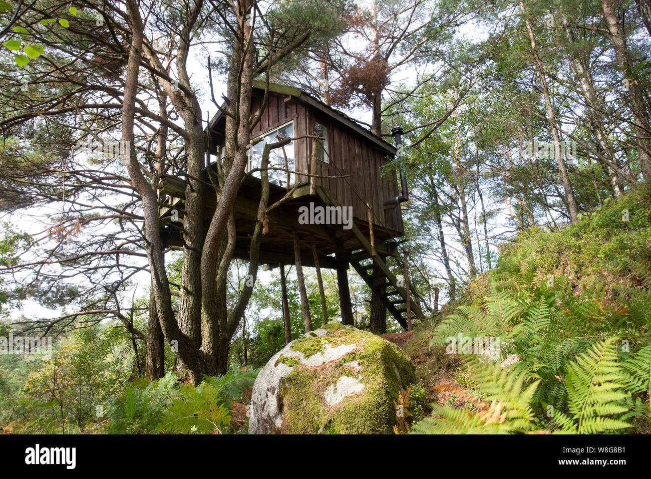 Treehouse, Norvegia, settembre 2018, Stavanger forest Foto Stock