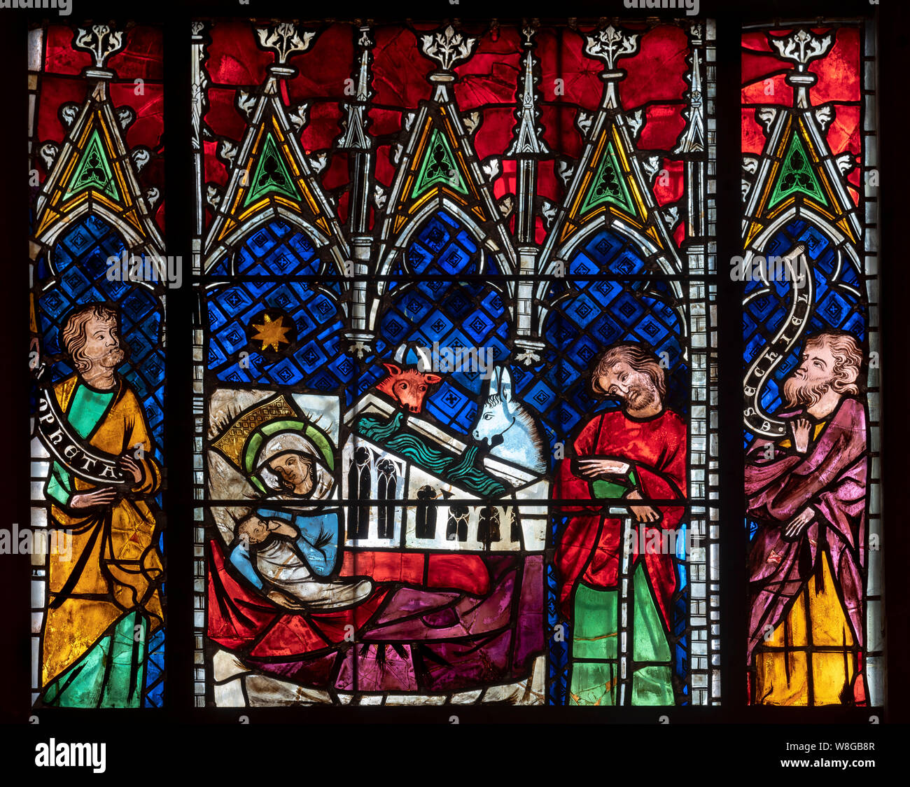 Straßburger Münster, Cathédrale Notre-dame de Strasbourg, Südliches Seitenschiff, 5. Fenster von Westen, Marienleben und Kindheit Jesu, Geburt Jesu Foto Stock