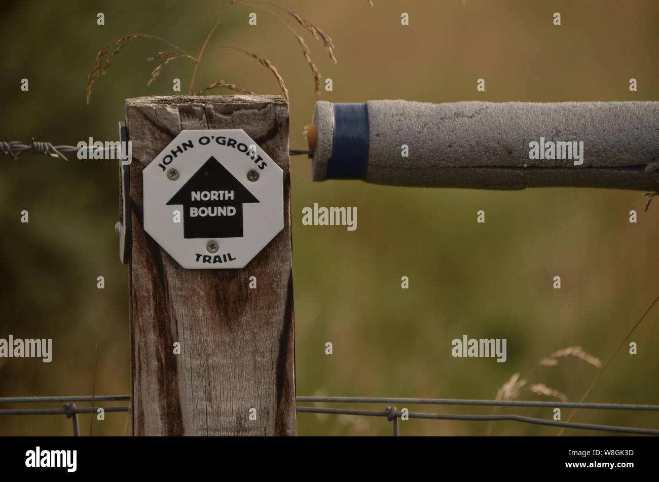 Un North Bound waymarker firma il percorso del nuovo John O'semole trail a lunga distanza itinerario a piedi nelle Highlands scozzesi, REGNO UNITO Foto Stock