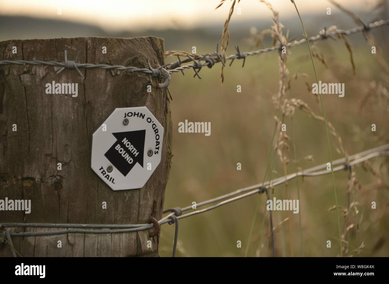Un North Bound waymarker firma il percorso del nuovo John O'semole trail a lunga distanza itinerario a piedi nelle Highlands scozzesi, REGNO UNITO Foto Stock