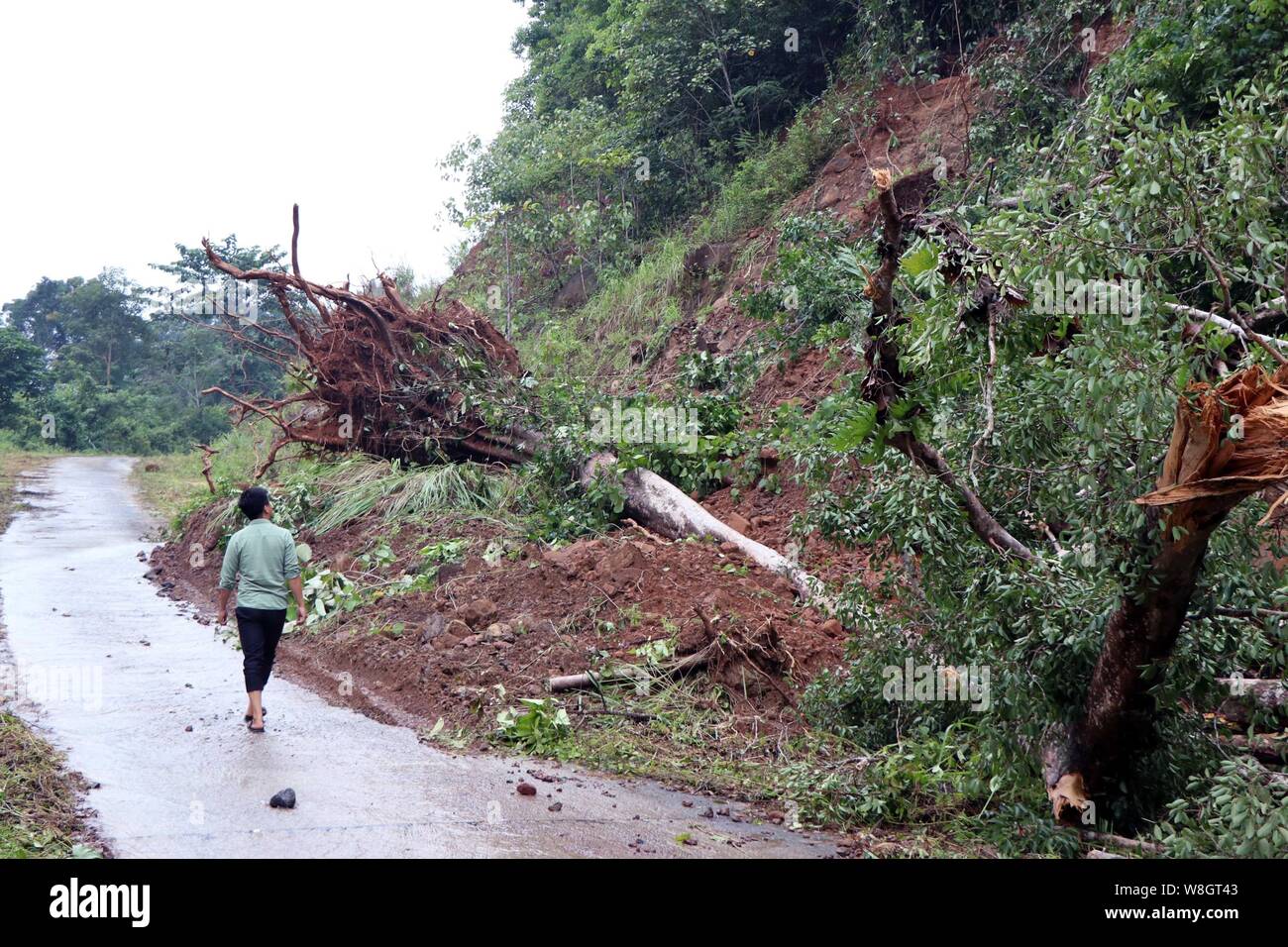 (190809) -- Hanoi, e il Agosto 9, 2019 (Xinhua) -- la foto scattata su Agosto 9, 2019 mostra una frana causata dalle forti piogge in Dak Nong provincia, Vietnam. Come di venerdì pomeriggio, frane e inondazioni negli altopiani centrali del Vietnam regione aveva ucciso otto persone, ha annunciato il paese del Comitato Centrale per il disastro naturale di prevenzione e di controllo. (VNA via Xinhua) Foto Stock