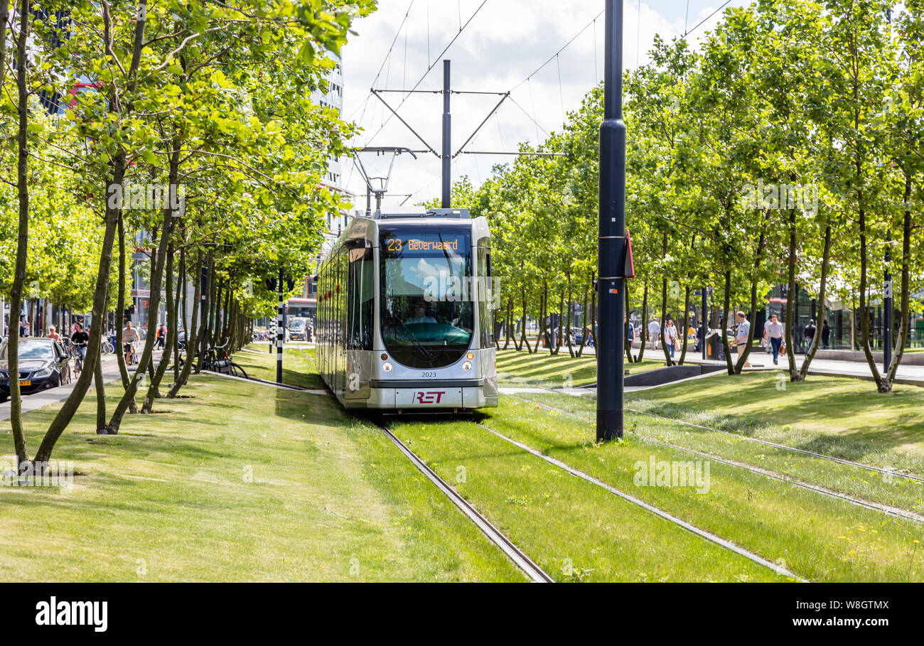 Rotterdam Paesi Bassi, Junly 1° 2019. Il tram nel centro della città, l'erba coperto i binari del tram, verdi alberi sfondo, giornata di sole Foto Stock