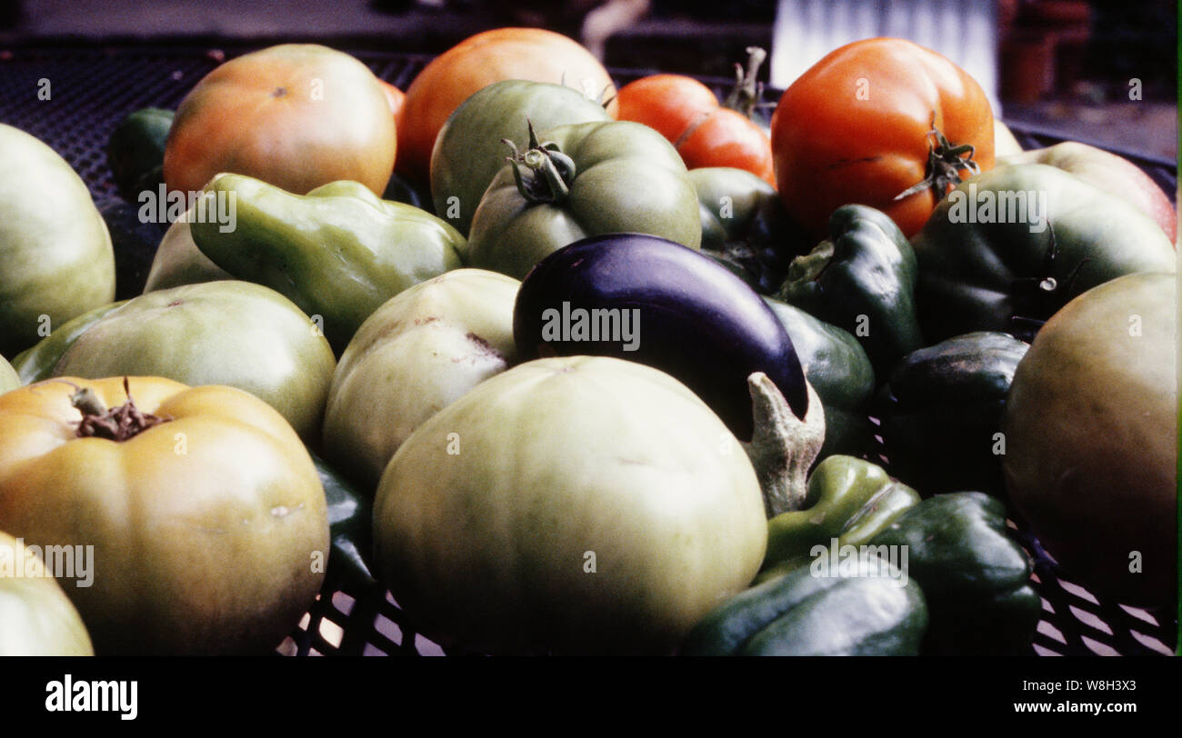 Verdure Foto Stock