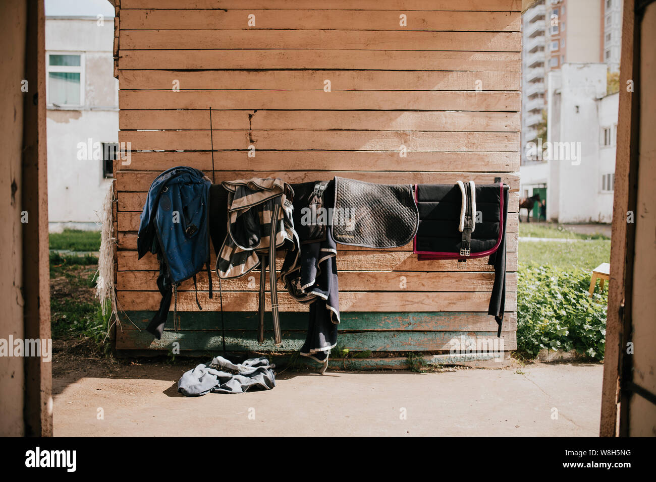 Horse tack per essiccazione, la procedura dopo avere guidato la bicicletta Foto Stock